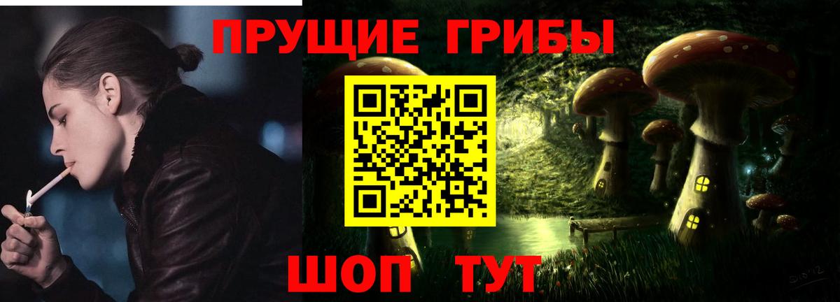 где найти   Вход с VPN  Балашов  Галлюциногенные грибы Psilocybe 